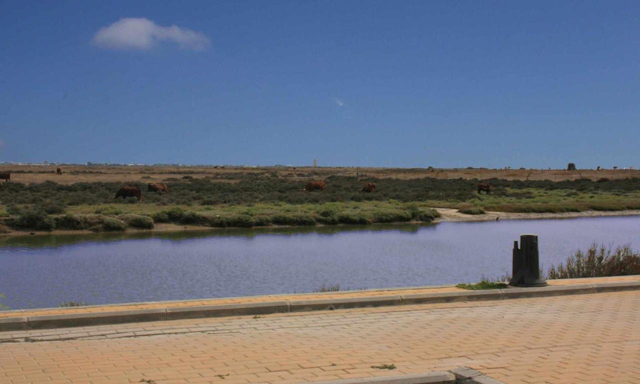 Marina 1 Atico De Lujo Independiente Vistas Al Mar كونيل ذي لا فرونتيرا المظهر الخارجي الصورة